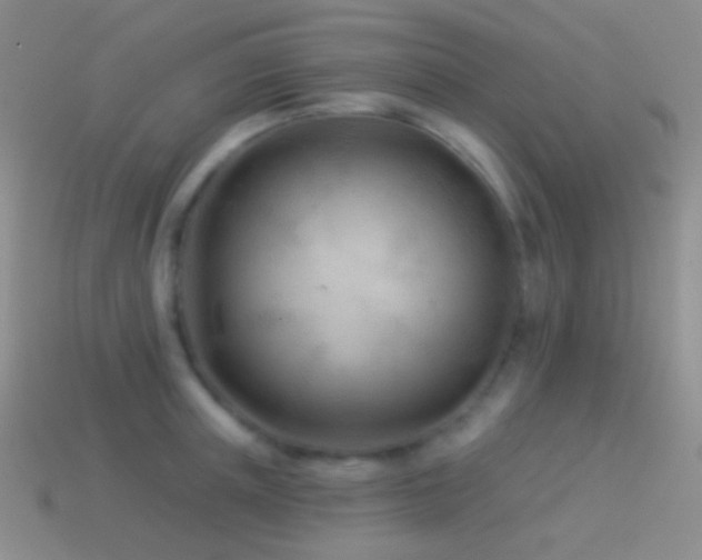 X0000114510851200910191131