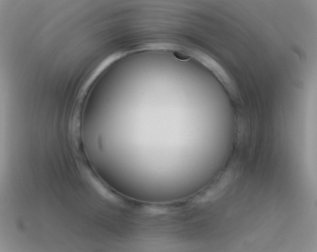 X0000114510852200910191131