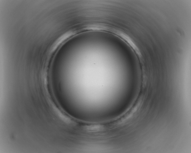 X0000114510853200910191131