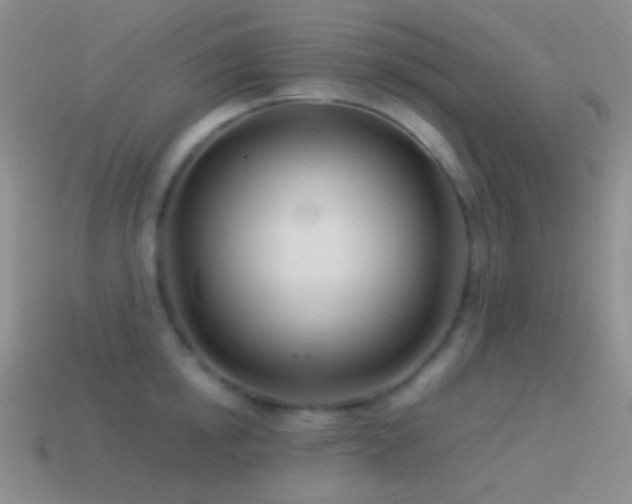 X0000114510854200910191131