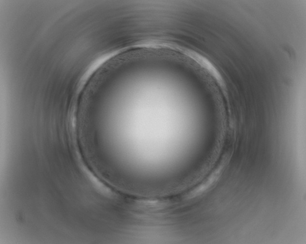 X0000114510855200910191131