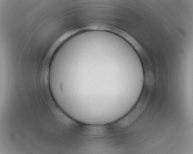 X0000114510856200910191131