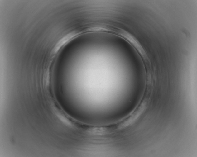 X0000114510858200910191131