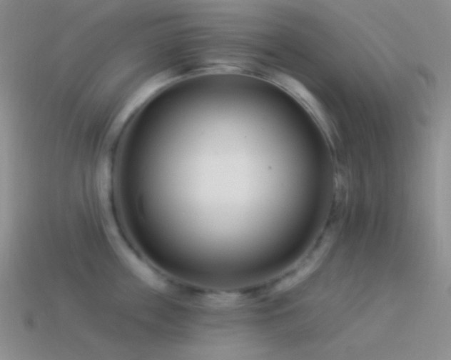 X0000114510859200910191131