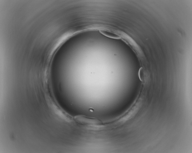 X0000114510860200910191131