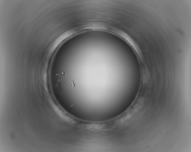 X0000114510861200910191131