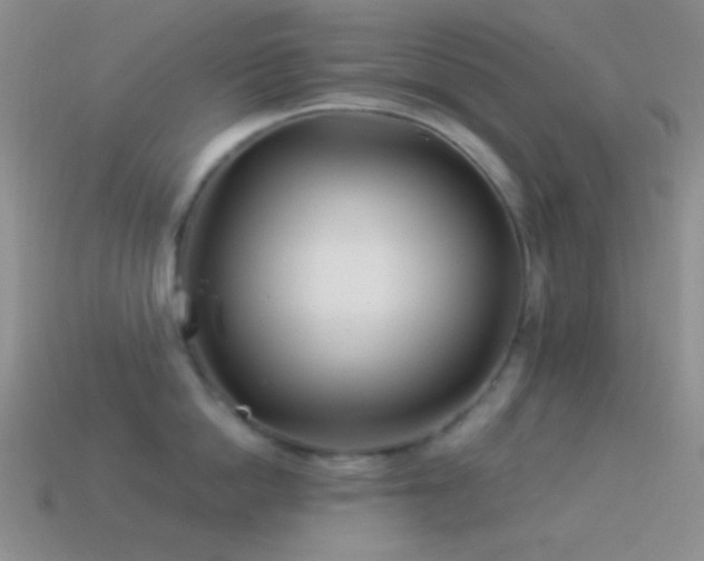 X0000114510862200910191131