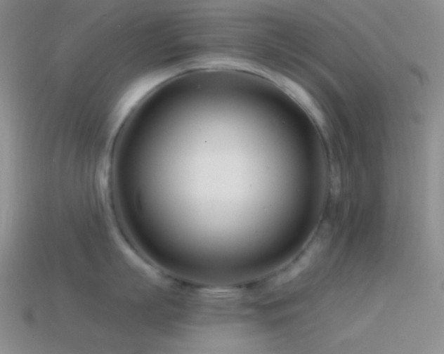 X0000114510863200910191131