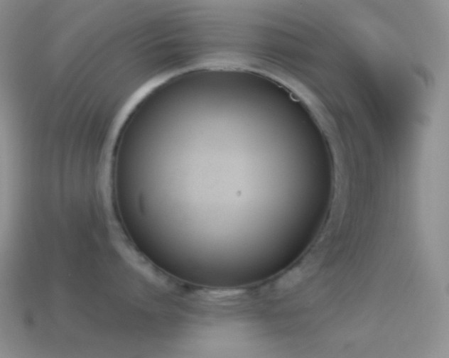 X0000114510864200910191131