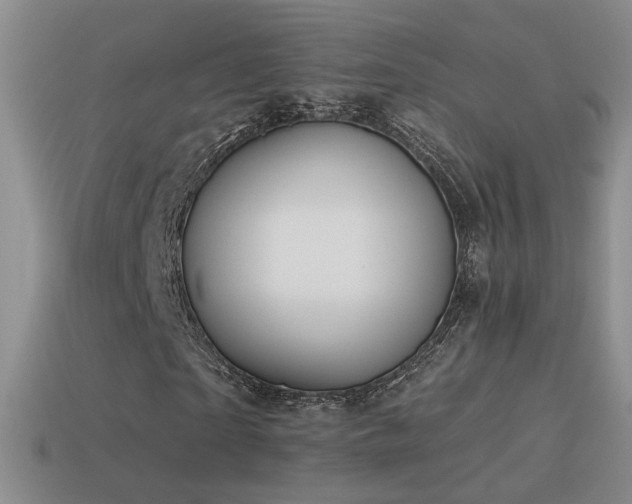 X0000114510865200910191130