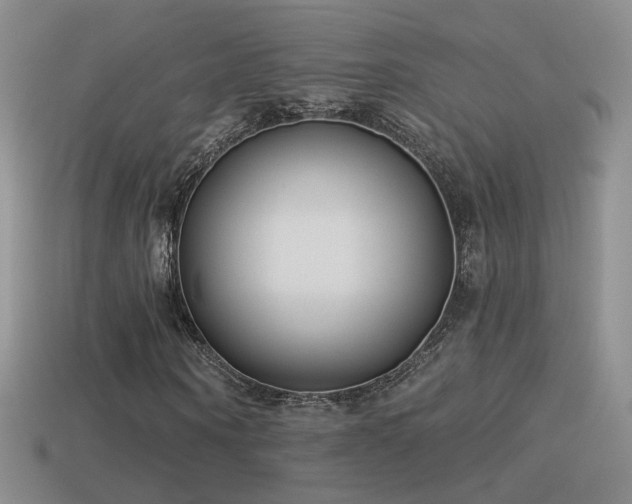 X0000114510866200910191130