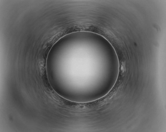 X0000114510867200910191130