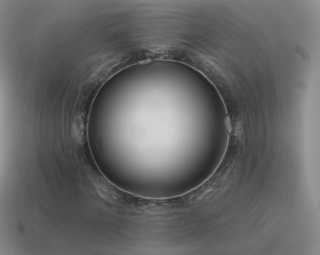 X0000114510868200910191130