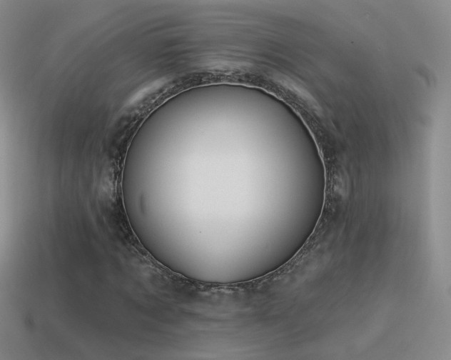 X0000114510869200910191130