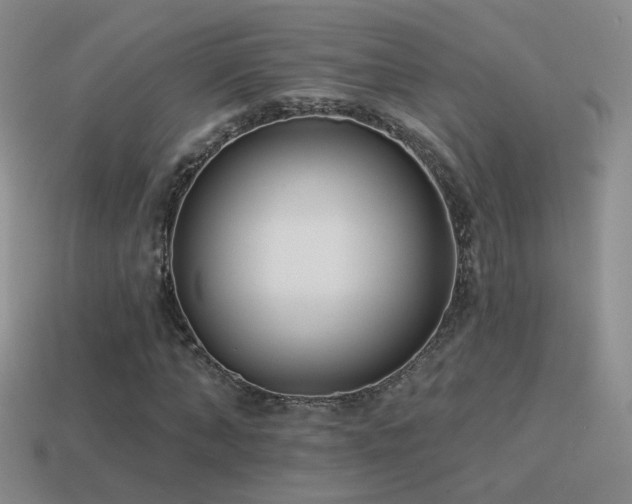 X0000114510870200910191130