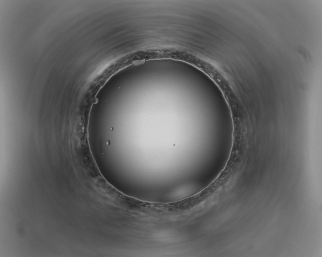 X0000114510871200910191130