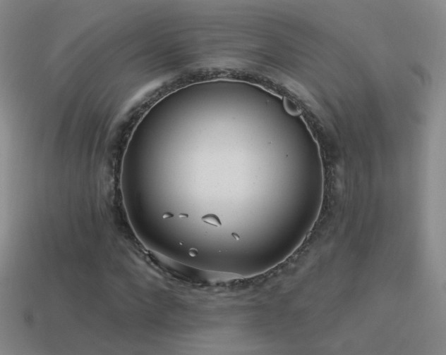 X0000114510872200910191130