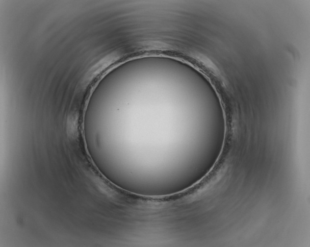 X0000114510873200910191130