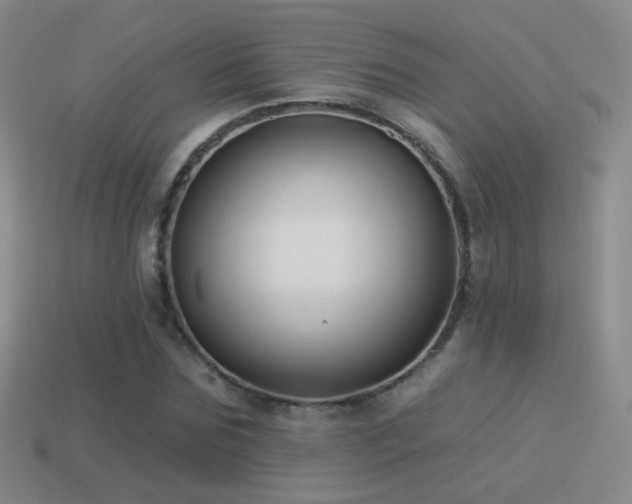 X0000114510875200910191130