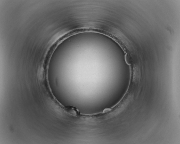 X0000114510876200910191130