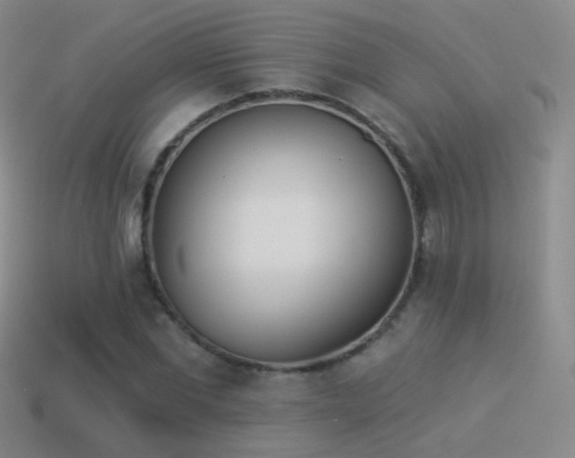 X0000114510877200910191130