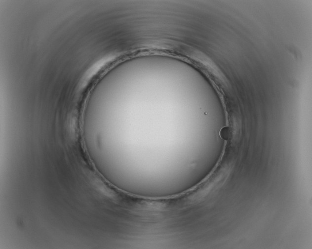 X0000114510878200910191130