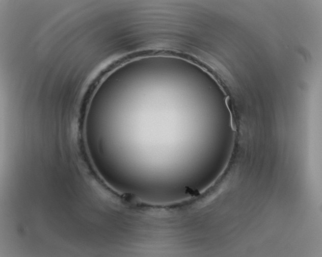 X0000114510880200910191130