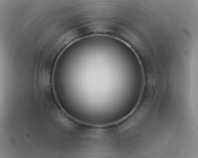 X0000114510881200910191130