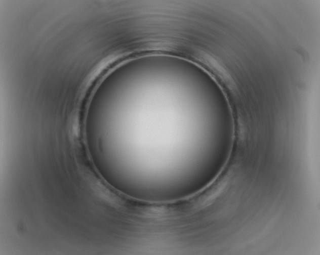 X0000114510883200910191130