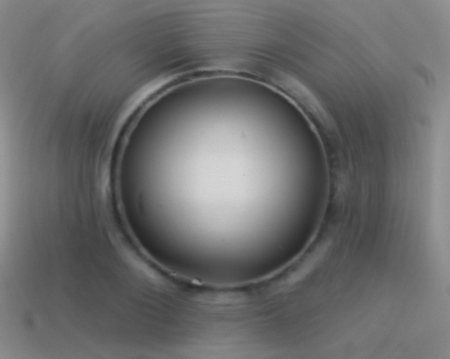 X0000114510884200910191130