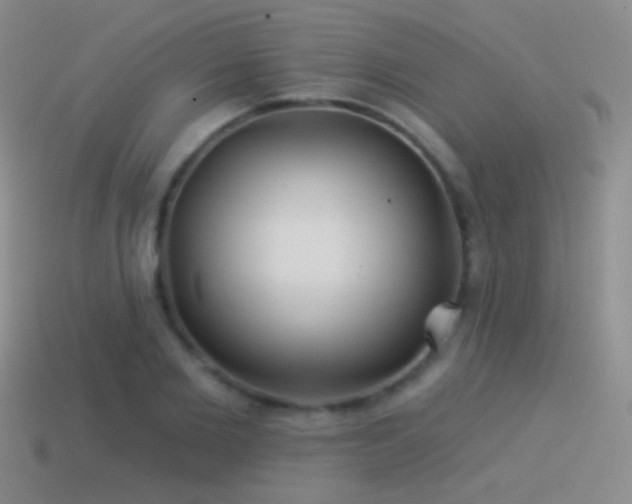 X0000114510885200910191130