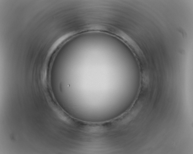 X0000114510886200910191130