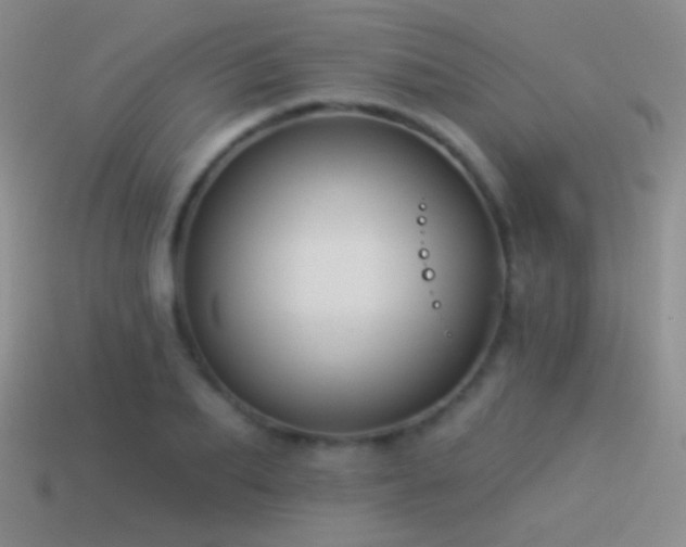 X0000114510887200910191130