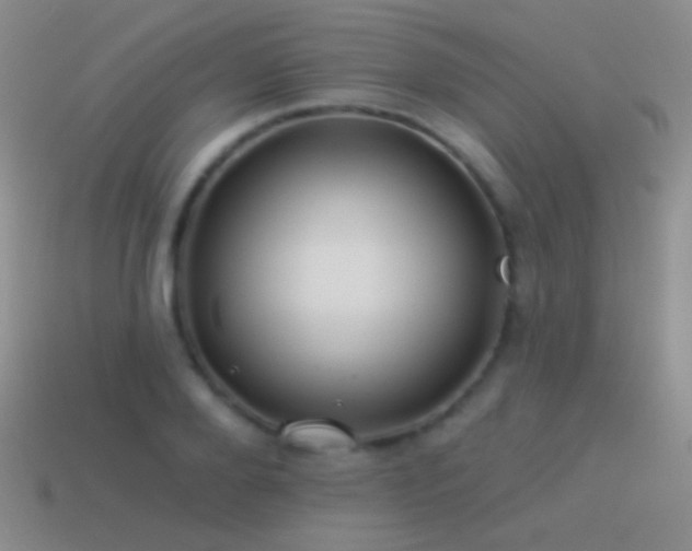 X0000114510888200910191130