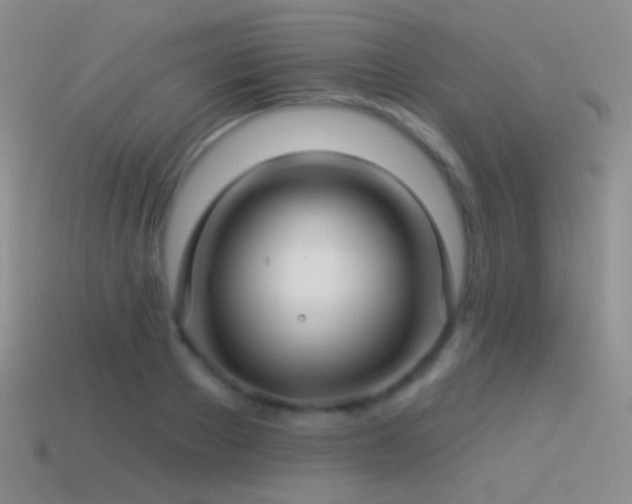 X0000114510889200910191130