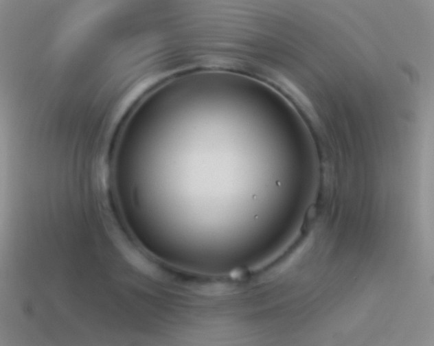 X0000114510891200910191130