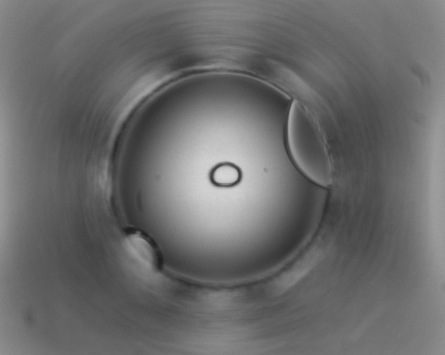 X0000114510892200910191130