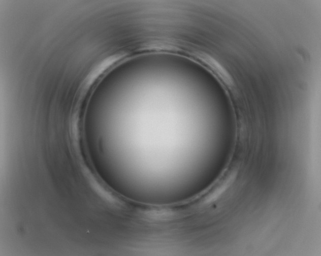 X0000114510893200910191130