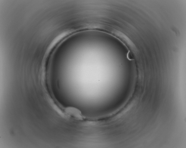 X0000114510894200910191130