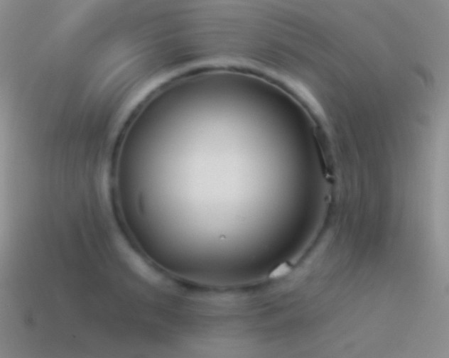 X0000114510895200910191130