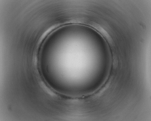 X0000114510896200910191130