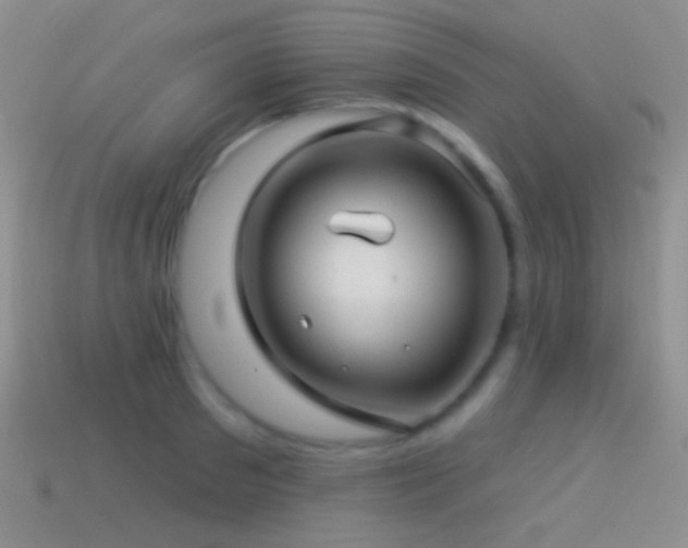 X0000114510897200910191130