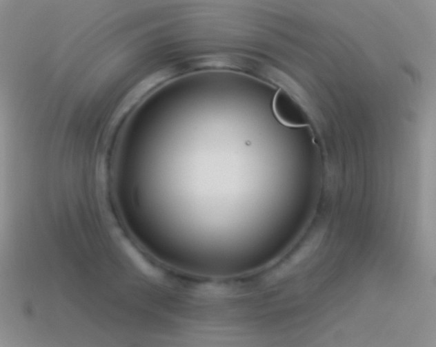 X0000114510898200910191130