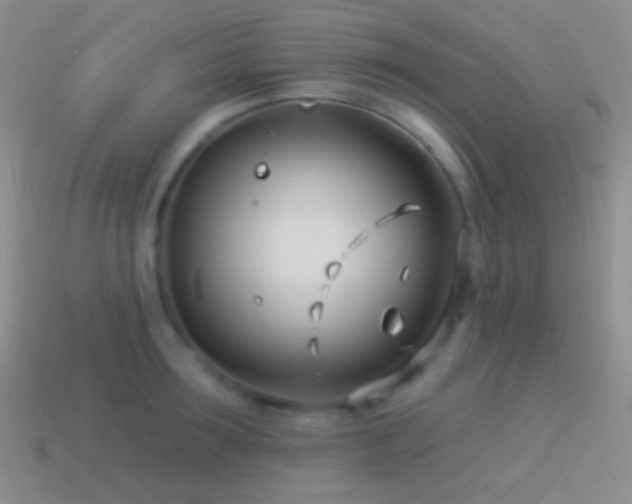 X0000114510899200910191130