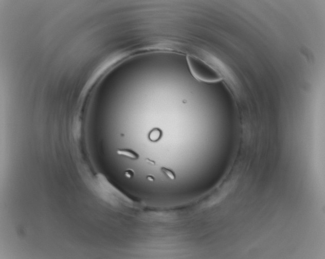 X0000114510900200910191130