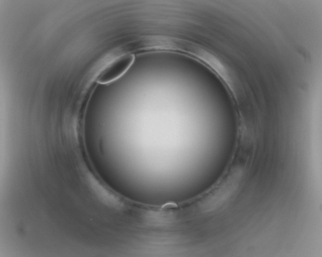 X0000114510901200910191130