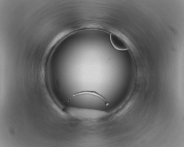 X0000114510902200910191130