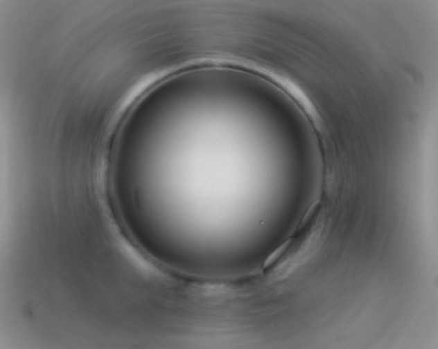 X0000114510903200910191130