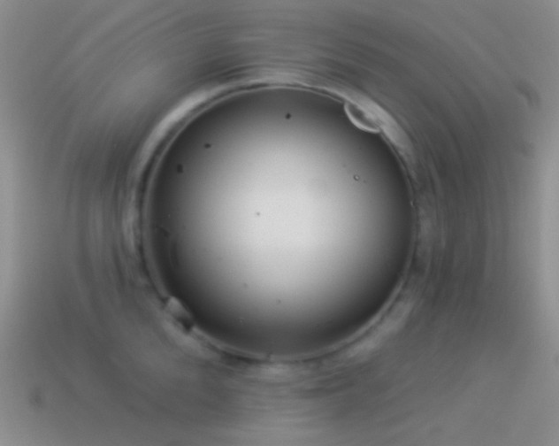 X0000114510904200910191130