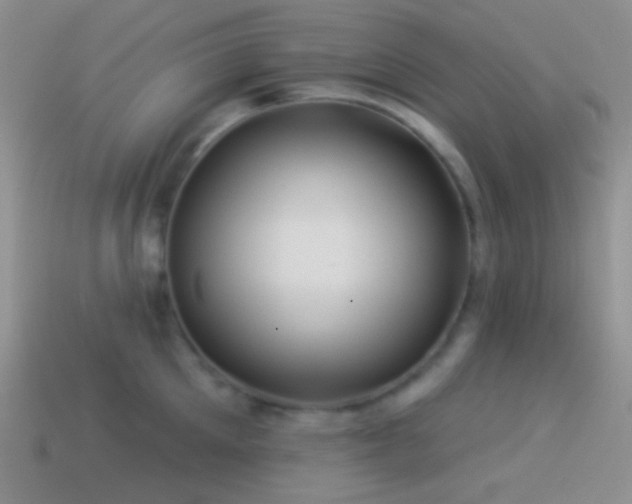 X0000114510905200910191130